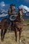 Older Cowboy leads packhorse across historic Last Dollar Ranch o