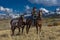 Older Cowboy leads packhorse across historic Last Dollar Ranch o