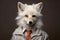 older fox as an office manager in white shirt with a white hair