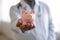 Older male doctor holding piggy bank box, close up view