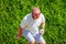 Older man plays pÃ©tanque.