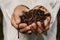 Older man working on his green bio garden showing earthworms in hands