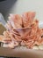 Older pale pink oyster mushrooms indoor grow kit