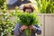 Older woman smelling fresh bunch of organic herbs from the garden