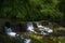 Oldest  Dam in Tennessee on Big Creek