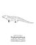 The oldest known reptile Hylonomus