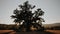 Oldest Tree from Romania captured in summer daylight with mountains in the background.