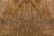 Olds wood surface background