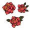 Oldschool Traditional Tattoo Vector Red Roses with leaves