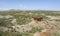 Olduvai Gorge in Africa