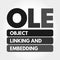 OLE - Object Linking and Embedding acronym