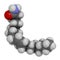 Oleamide molecule. 3D rendering. Atoms are represented as spheres with conventional color coding: hydrogen white, carbon grey