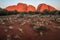 The olgas domed rocks during at sunset, Northern Territory, Australia