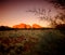 The Olgas Kata Tjuta