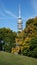 Olimpia Park in Munich - trees and tv tower