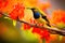 Olive-backed sunbird on a branch in the rainforest