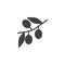 Olive branch icon vector