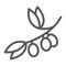Olive branch line icon, plant and tree, olives sign, vector graphics, a linear pattern on a white background.