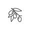 Olive branch with olives fruit line icon