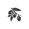 Olive branch with olives fruit vector icon