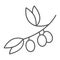 Olive branch thin line icon, plant and tree, olives sign, vector graphics, a linear pattern on a white background.