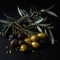 Olive branch with yellow, green and black berries close-up isolated on black, lovely food background for advertising
