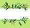 Olive branches template on green