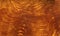 Olive brown wood texture