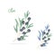 Olive digital clip art watercolor drawing flowers illustration similar on white background