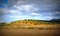 Olive fields, Andalusia, Spain