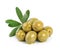 Olive fruits isolated