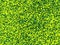 Olive green pixel maze illustration background