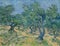 Olive grove by famous Dutch painter Vincent Van Gogh