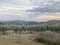 olive grove on the hillside with cloudy sky in the background