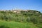 Olive grove and medieval town of San Gimignano on a sunny afternoon. Italy