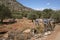 Olive grove near Kritsa in Crete Greece. Pipework and taps for the irrigation system