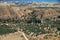 Olive groves around Kardamena