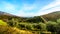 Olive groves and vineyards surrounded by mountains along the Helshoogte Road