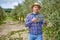 Olive grower working in olive grove.