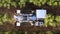 Olive Harvester passing over rows of Olive Trees, Aerial footage of the process.