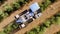 Olive Harvester passing over rows of Olive Trees, Aerial footage of the process.