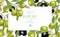 Olive horizontal banner