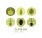 Olive. Icon set