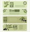 Olive labels collection