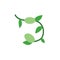 Olive leaf icon. Simple color vector elements of botanicals icons for ui and ux, website or mobile application