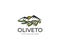 Olive Logo Template. Olive Grove Vector Design