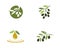 Olive logo template vector icon