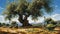 Olive oil in bottle on background of olive tree. Generative AI