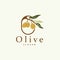 Olive Oil Logo Premium Design Fresh Plant Garden Simple Minimalist Templet Symbol Illustration