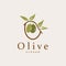 Olive Oil Logo Premium Design Fresh Plant Garden Simple Minimalist Templet Symbol Illustration